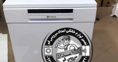 ماشین ظرفشویی اسنوا